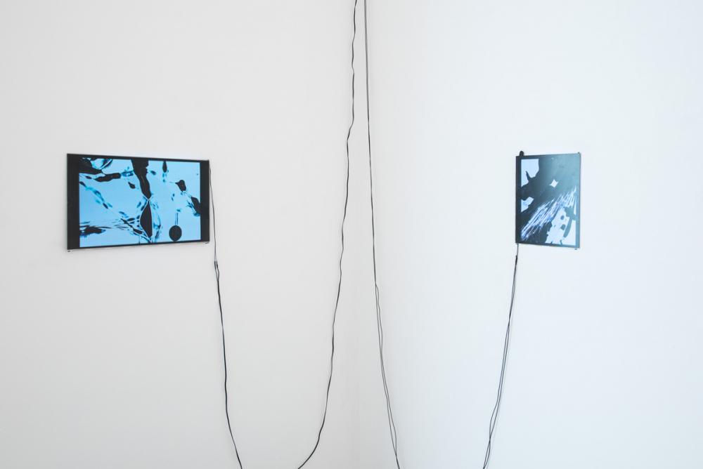 Installation view, IEPA #01 - Lilly Lulay, basis 2016, photo: Frithjof Kjer