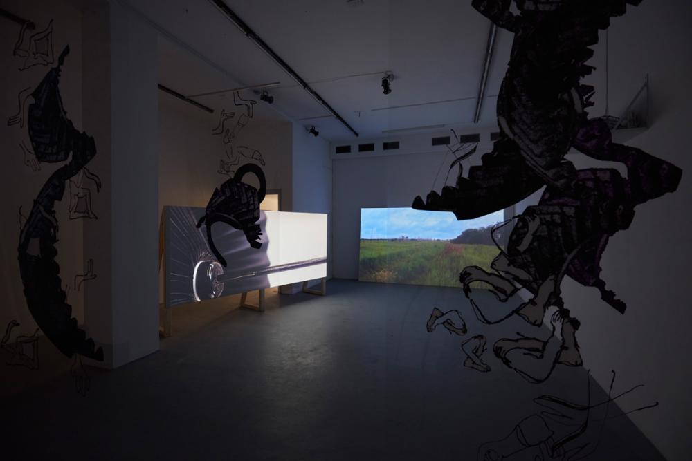 Installation View, Ani Schulze, basis 2016, Foto: Günther Dächert