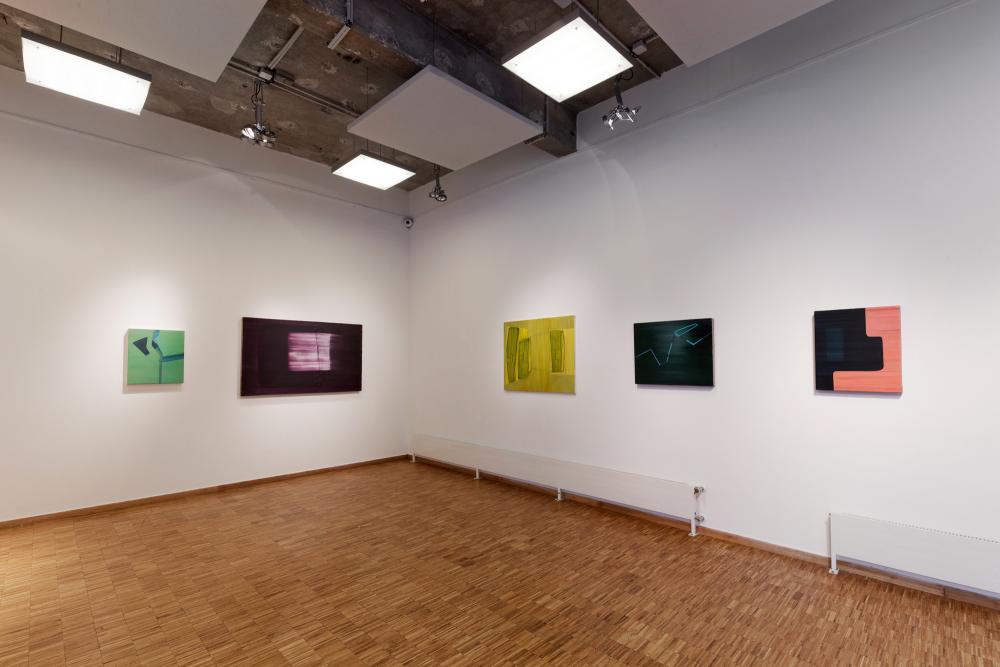 Installation view, basis aperçu, 2017, Viola Bittl, Goethe-Institut Paris © Falk Messerschmidt