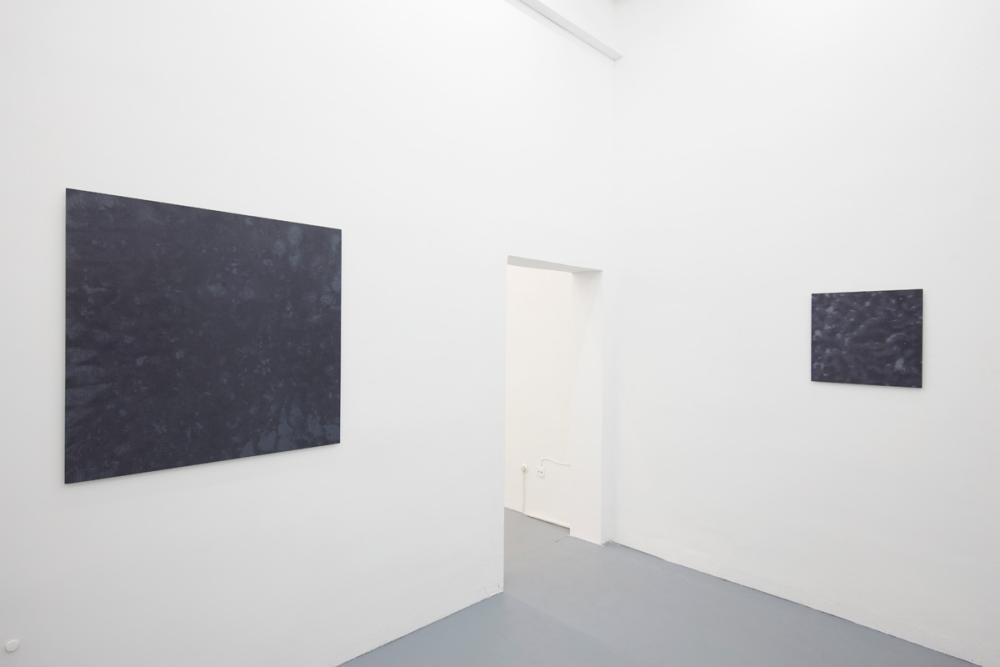 Installation view, Isabel Albrecht, basis 2017, Foto: Günther Dächert