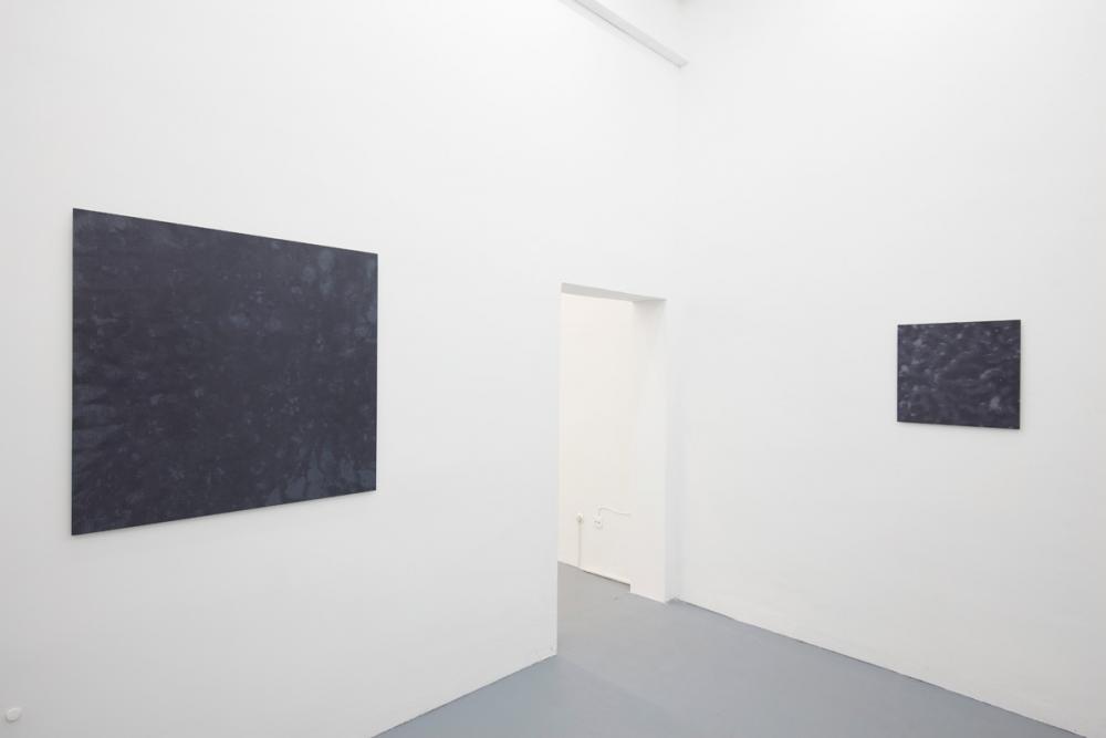 Installation view, Isabel Albrecht, basis 2017, photo: Günther Dächert