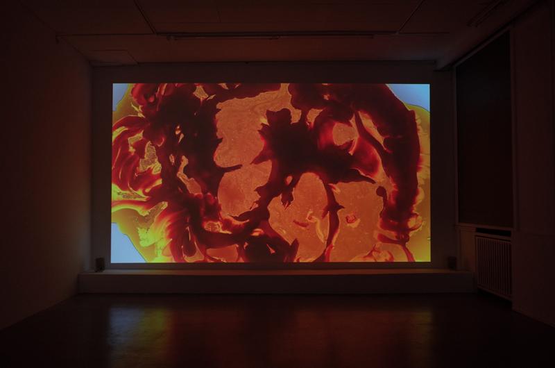 Ani Schulze, Flint House Lizard, installation view basis