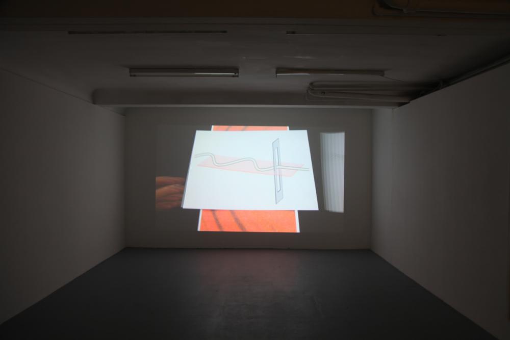 FFM:HH, Katja Lell, basis 2013, photo: Amin Weber