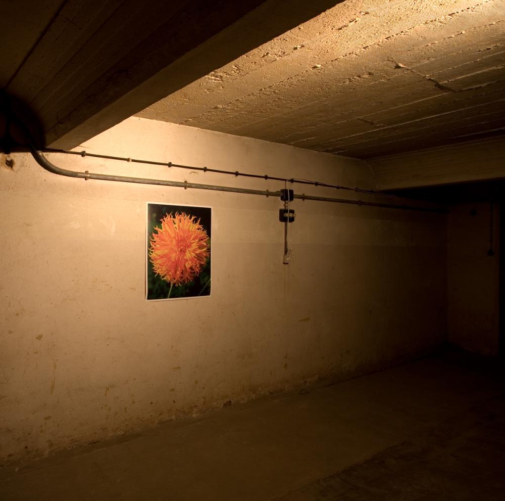 Ausstellungsansicht, Özlem Günyol & Mustafa Kunt, Gold Mine, basis 2006, Foto: Cem Yücetas