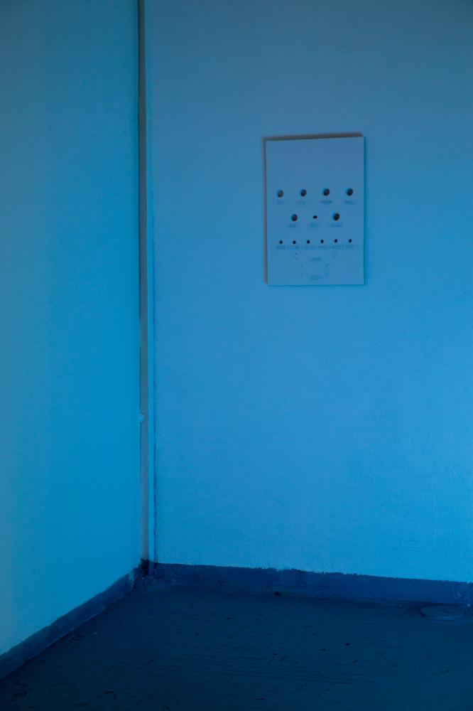 Installation view, There must be moths - William Drummond, basis 2017