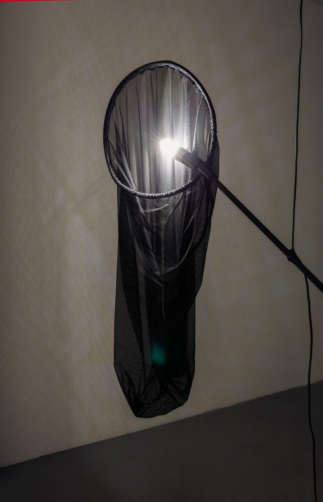 Installation view, There must be moths - William Drummond, basis 2017