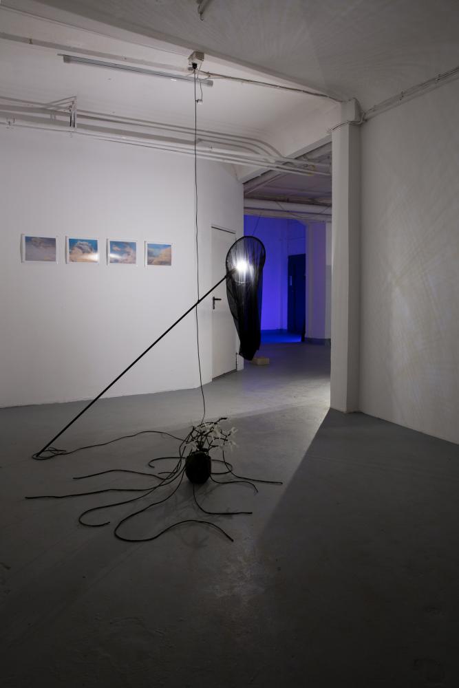 Installation view, There must be moths - William Drummond, basis 2017