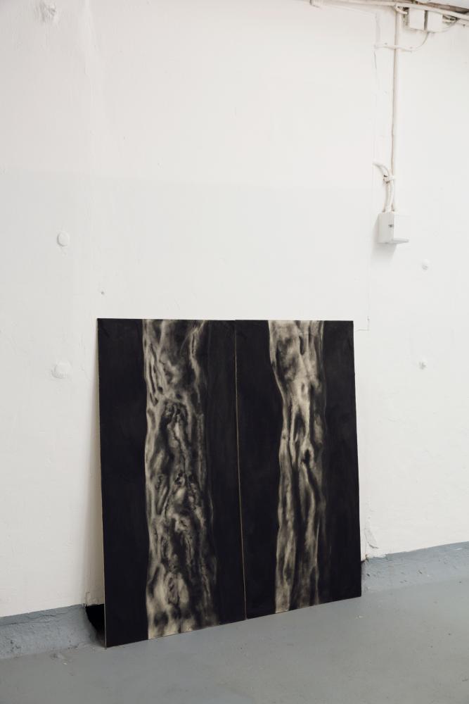 Installation view, There must be moths - William Drummond, basis 2017