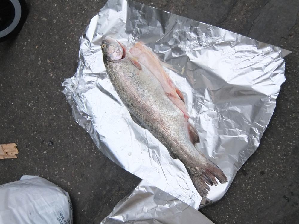 Opening, fish barbecue