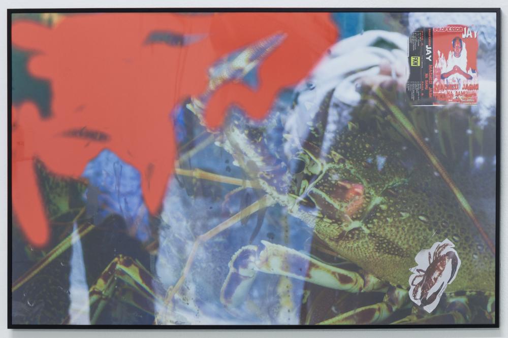 Ghislain Amar, UV print on Dibond (framed), 2016