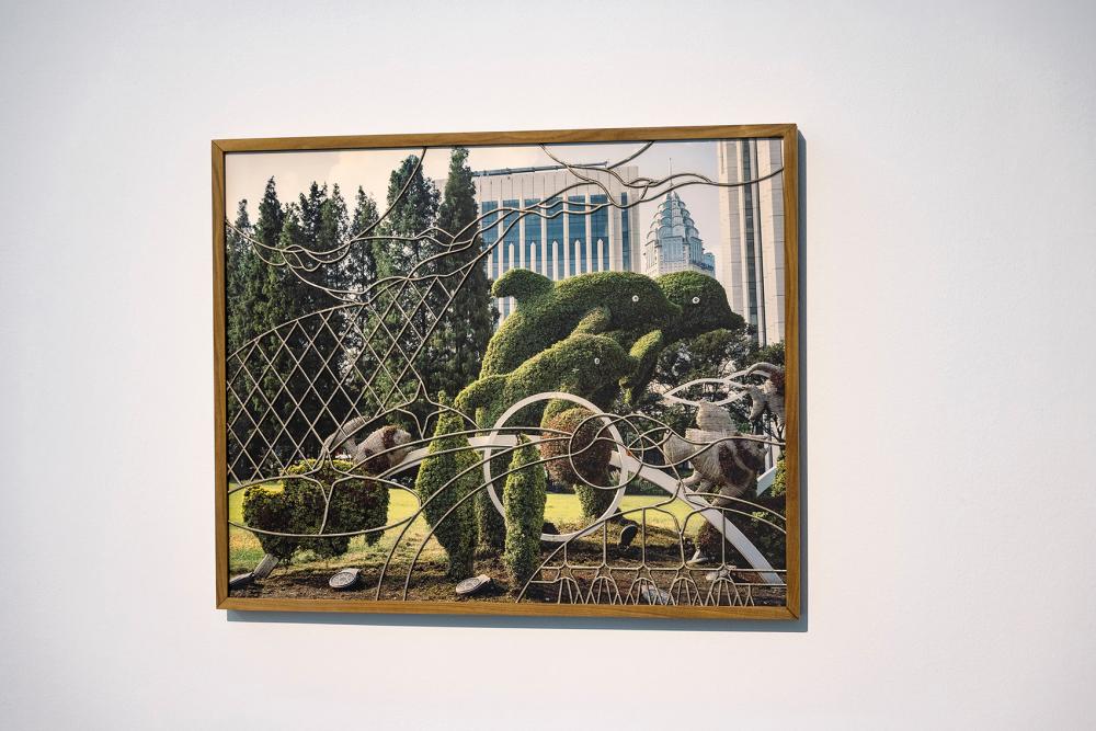 Peng Ke, Dolphins (disappeared), 2019–21, archival inkjet print, pewter, glass, walnut frame, 73 × 91 cm, photo: Angelika Zinzow, © basis e.V.