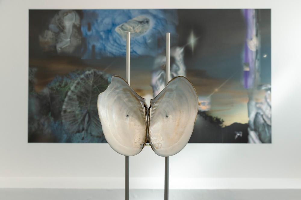 Xiaoshi Qin, Tell me about the midnight sunsets and hidden mountains, 2023, installation, mixed media, photo: Angelika Zinzow, © basis e.V.