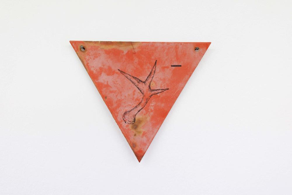 Semiology of the Underground, 2021 Drawing of an Arabidopsis thaliana on a minefield warning sign,  15.5 × 18 cm Courtesy the artist and alexander levy, Berlin Photo: Bernd Euring