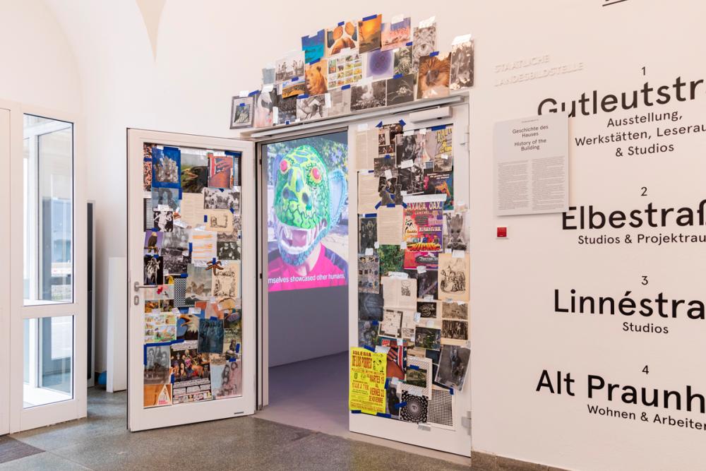 Basis-Lichter-11-Angelika-Zinzow