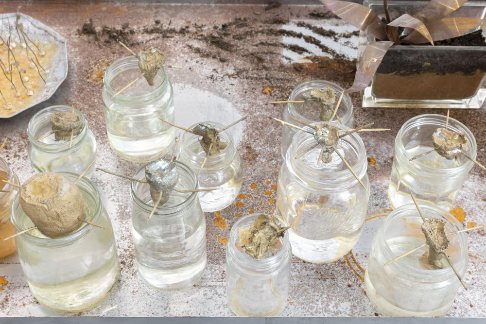 Photo: Nathalie Zimmermann, © basis e.V._003.jpg