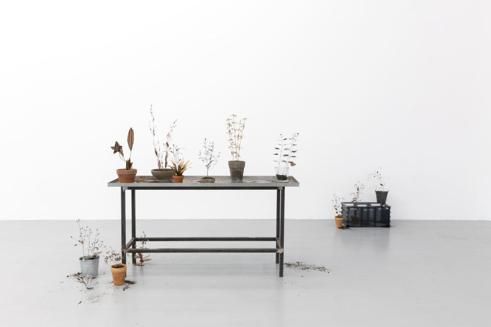 Photo: Nathalie Zimmermann, © basis e.V._003.jpg