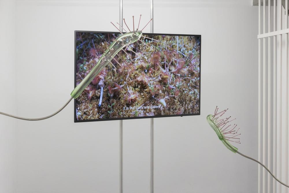 Photo: Nathalie Zimmermann, © basis e.V.