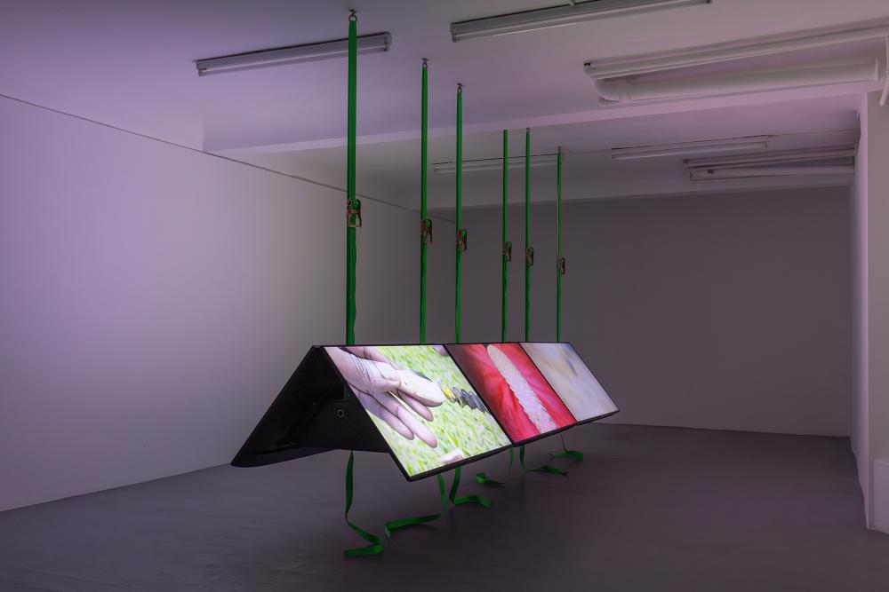 Kenny Dunkan - BIDIM BLO! / Jardin D'essai