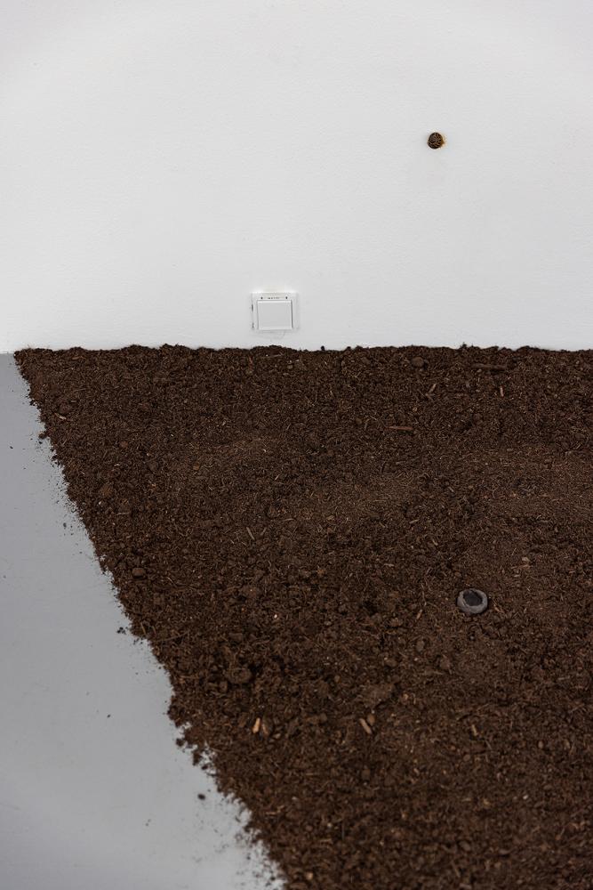 Ava Binta Giallo, Ohne Titel, Detail,  2024, gebrannte Tonelemente, Erde, Schneckenhaus © basis e.V., photo: Angelika Zinzow