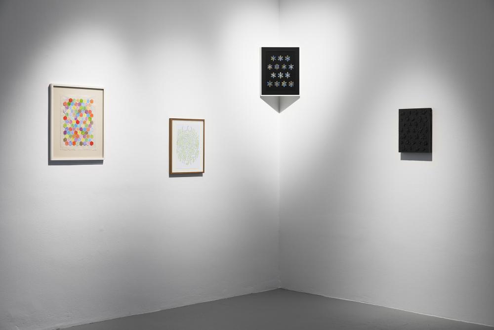 Ivan Murzin, installation view, 2024 © basis e.V., photo: Ivan Murzin