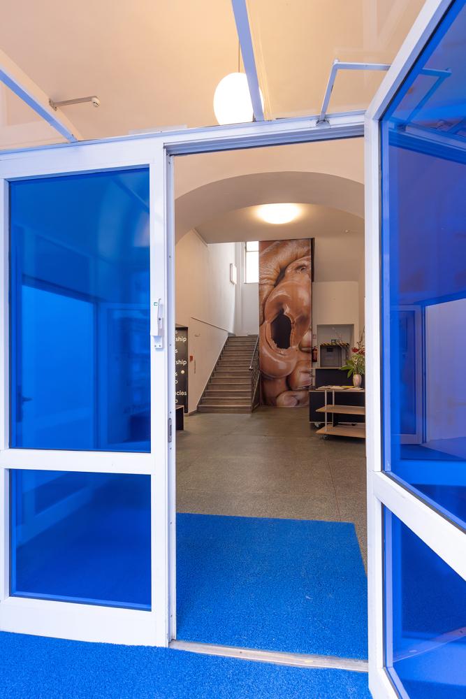 Kenny Dunkan – BIDIM BLO!, installation view, 2024 © basis e.V., photo: Bernd Euring