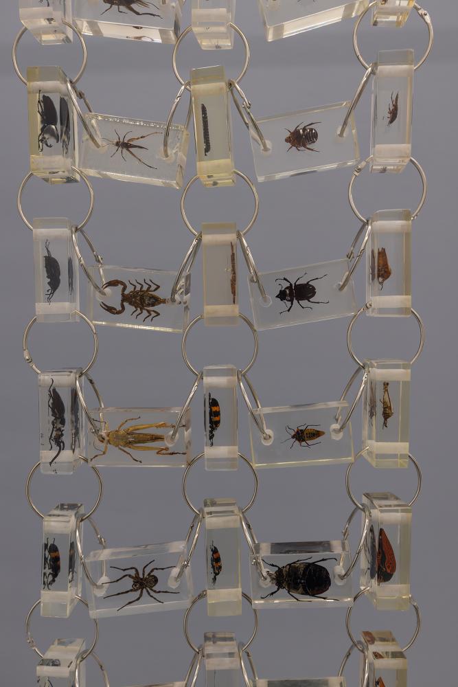 Kenny Dunkan, AM I WISE ENOUGH?, 2022, (detail) Insect inclusions in resin, metal rings, 150 x 30 cm © basis e.V., photo: Bernd Euring