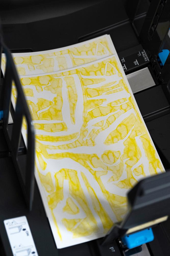 Renuka Rajiv, Foto: Aslı Oezdemir