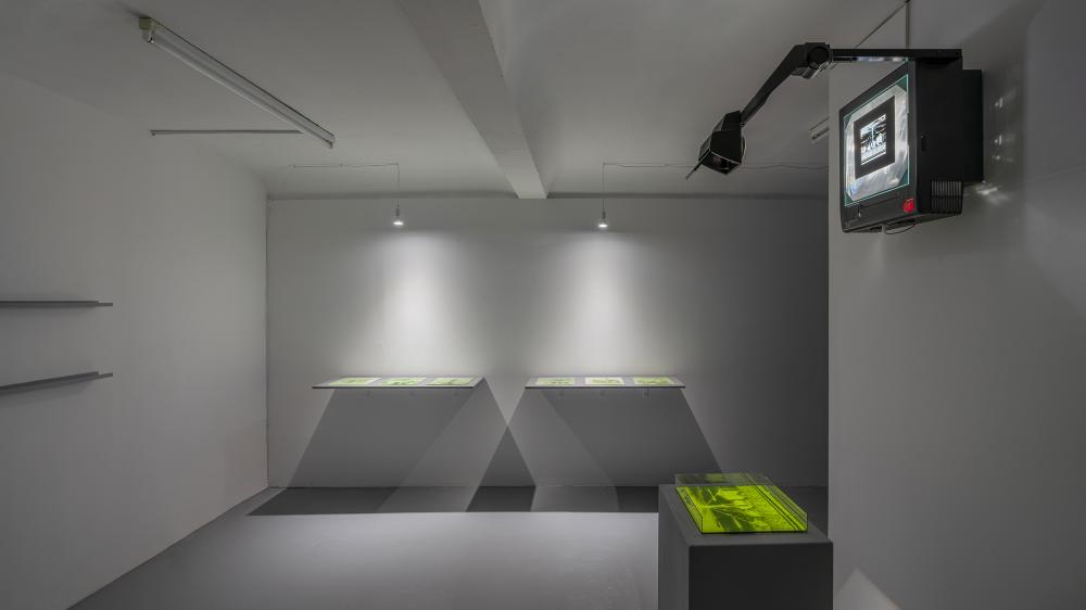 Kaya & Blank, Bloom, Ausstellungsansicht, basis e.V., © Kaya & Blank