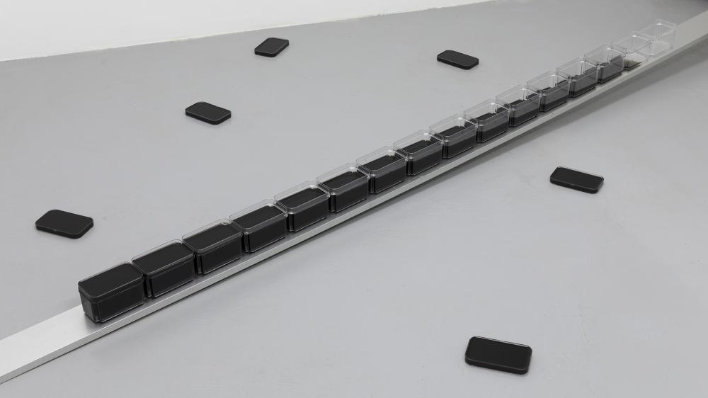 Marcell Marosfalvi, SAMPLE AND HOLD, basis, 2026, Photo: Ivan Murzin